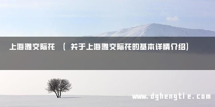 上海滩交际花 (关于上海滩交际花的基本详情介绍)